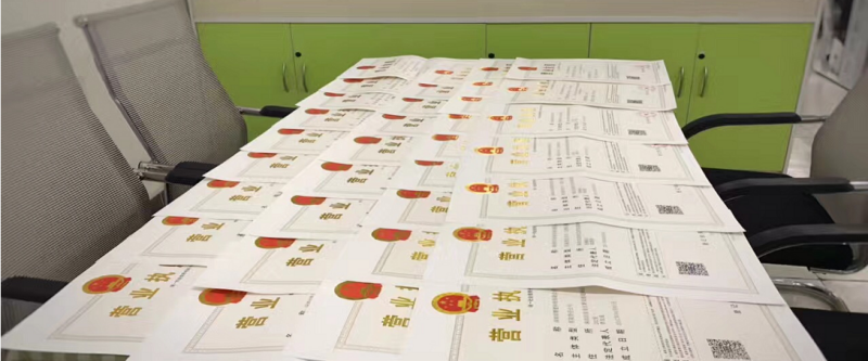 公司注册成功案例